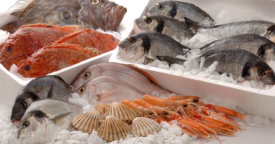 Seafood Wholeseller